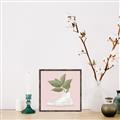 Picture of Plant Shoe Pink _GroupedProduct_Square_Canvas_Framed_