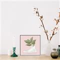 Picture of Plant Shoe Pink _GroupedProduct_Square_Canvas_Framed_