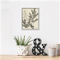 Picture of Shadow Botanical I  _GroupedProduct_Rectangle_Portrait_Canvas_Framed_