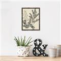 Picture of Shadow Botanical I  _GroupedProduct_Rectangle_Portrait_Canvas_Framed_