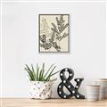 Picture of Shadow Botanical I  _GroupedProduct_Rectangle_Portrait_Canvas_Framed_