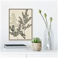 Picture of Shadow Botanical I  _GroupedProduct_Rectangle_Portrait_Canvas_Framed_