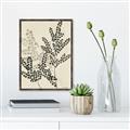 Picture of Shadow Botanical I  _GroupedProduct_Rectangle_Portrait_Canvas_Framed_