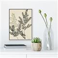 Picture of Shadow Botanical I  _GroupedProduct_Rectangle_Portrait_Canvas_Framed_