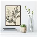 Picture of Shadow Botanical I  _GroupedProduct_Rectangle_Portrait_Canvas_Framed_