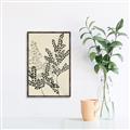 Picture of Shadow Botanical I  _GroupedProduct_Rectangle_Portrait_Canvas_Framed_