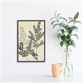 Picture of Shadow Botanical I  _GroupedProduct_Rectangle_Portrait_Canvas_Framed_