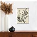 Picture of Shadow Botanical I  _GroupedProduct_Rectangle_Portrait_Canvas_Framed_