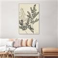 Picture of Shadow Botanical I  _GroupedProduct_Rectangle_Portrait_Canvas_Framed_
