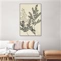 Picture of Shadow Botanical I  _GroupedProduct_Rectangle_Portrait_Canvas_Framed_