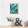 Picture of Extreme Succulent _GroupedProduct_Rectangle_Portrait_Canvas_Framed_