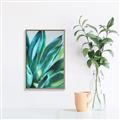 Picture of Extreme Succulent _GroupedProduct_Rectangle_Portrait_Canvas_Framed_