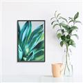 Picture of Extreme Succulent _GroupedProduct_Rectangle_Portrait_Canvas_Framed_