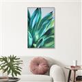 Picture of Extreme Succulent _GroupedProduct_Rectangle_Portrait_Canvas_Framed_
