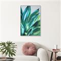 Picture of Extreme Succulent _GroupedProduct_Rectangle_Portrait_Canvas_Framed_