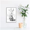 Picture of Hand Drawn Vase _GroupedProduct_Rectangle_Portrait_Canvas_Framed_