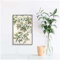 Picture of Hanging Leaves _GroupedProduct_Rectangle_Portrait_Canvas_Framed_