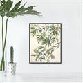 Picture of Hanging Leaves _GroupedProduct_Rectangle_Portrait_Canvas_Framed_
