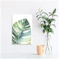 Picture of Tropical Leaf II _GroupedProduct_Rectangle_Portrait_Unframed_Print_Only_