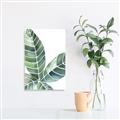 Picture of Tropical Leaf IV _GroupedProduct_Rectangle_Portrait_Unframed_Print_Only_