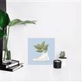Picture of Plant Shoe Blue I _GroupedProduct_Square_Unframed_Print_Only_