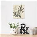 Picture of Shadow Botanical I  _GroupedProduct_Rectangle_Portrait_Unframed_Print_Only_