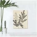 Picture of Shadow Botanical I  _GroupedProduct_Rectangle_Portrait_Unframed_Print_Only_