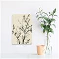 Picture of Shadow Botanical II _GroupedProduct_Rectangle_Portrait_Unframed_Print_Only_