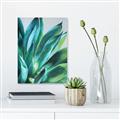Picture of Extreme Succulent _GroupedProduct_Rectangle_Portrait_Unframed_Print_Only_