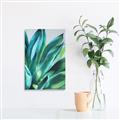 Picture of Extreme Succulent _GroupedProduct_Rectangle_Portrait_Unframed_Print_Only_