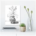 Picture of Hand Drawn Vase _GroupedProduct_Rectangle_Portrait_Unframed_Print_Only_