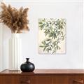 Picture of Hanging Leaves _GroupedProduct_Rectangle_Portrait_Unframed_Print_Only_