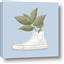 Picture of Plant Shoe Blue I