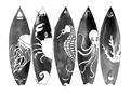 Picture of B&W Surfboards _GroupedProduct_Rectangle_Landscape_Unframed_Print_Only_