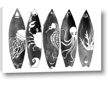 Picture of B&W Surfboards
