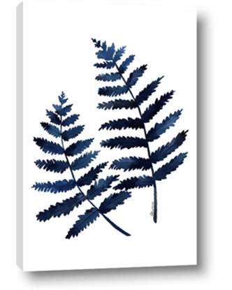 Picture of Two Blue Ferns