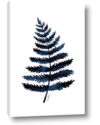 Picture of Blue Fern