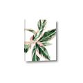 Picture of Leafy I _GroupedProduct_Rectangle_Portrait_Canvas_