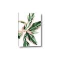 Picture of Leafy I _GroupedProduct_Rectangle_Portrait_Canvas_