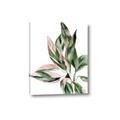 Picture of Leafy II _GroupedProduct_Rectangle_Portrait_Canvas_