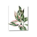 Picture of Leafy II _GroupedProduct_Rectangle_Portrait_Canvas_