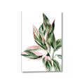 Picture of Leafy II _GroupedProduct_Rectangle_Portrait_Canvas_