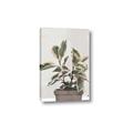 Picture of Pink Leaf House Plant _GroupedProduct_Rectangle_Portrait_Canvas_