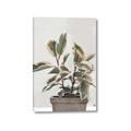 Picture of Pink Leaf House Plant _GroupedProduct_Rectangle_Portrait_Canvas_