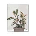 Picture of Pink Leaf House Plant _GroupedProduct_Rectangle_Portrait_Canvas_