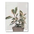 Picture of Pink Leaf House Plant _GroupedProduct_Rectangle_Portrait_Canvas_