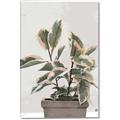 Picture of Pink Leaf House Plant _GroupedProduct_Rectangle_Portrait_Canvas_