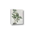 Picture of Leaf Garden _GroupedProduct_Rectangle_Portrait_Canvas_