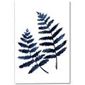 Picture of Two Blue Ferns _GroupedProduct_Rectangle_Portrait_Canvas_