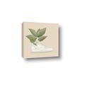 Picture of Plant Shoe Beige _GroupedProduct_Square_Canvas_